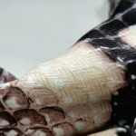 روسری نخ ابریشم گارزا