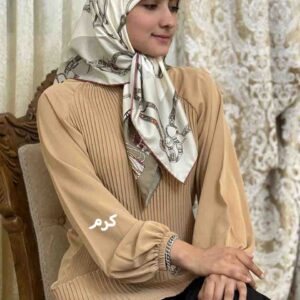 شومیز جلو پلیسه