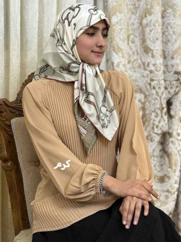 شومیز جلو پلیسه